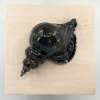 Angelique Homberg: Schelp (2026), keramiek, 22 x 22 x 8 cm. 225 euro