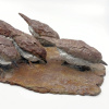 Arno Goossens: Strandlopertjes, brons 6/12, 9 x 20 x 33 cm. 2.300 euro