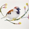 Barbara Guldenaar: Mus 7 (2024) aquarel, 22 x 32 cm. 270 euro