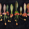 Marianne van Heeswijk: Real FlowerFish (2026), mixed media, 45 x 80 cm. 735 euro