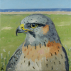 Dimitri Feenstra: De Wachter van Molenkolk (2025), acryl op linnen, 23 x 23 cm. 260 euro