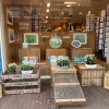 Sneeuwklokjes op twee locaties: Galerie Posthuys en Nauta Boekhandel (2023)
