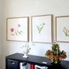 TULP en VAAS 10daagse 23 maart t/m 3 april 2016