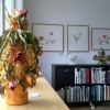 TULP en VAAS 10daagse 23 maart t/m 3 april 2016