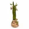 Gerrie Lulof: Sneeuwklokje (2026), aardewerk, 14 x 4 x 5 cm. 60 euro
