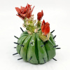 Gerrie Lulof: Cactus (2026), aardewerk, 12 x 11 x 11 cm. 140 euro
