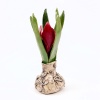 Gerrie Lulof: Rood tulpje A (2024), paperclay, ca 14 cm. 60 euro