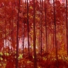 Gertjan Scholte-Albers G-bos fire (2008) olieverf op doek 100 x 140 cm 2.600 euro