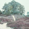 Grietje Postma 2013-IV, houtsnede 5/25, 60 x 80 cm. 595 euro