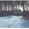 Grietje Postma: 2025-VII, houtdruk 5/29, 36 x 36 cm. 275 euro