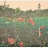 Grietje Postma: 2020-III, houtdruk 7/22, 52 x 58 cm. 435 euro