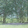 2022-V, houtdruk 4/30, 22 x 26 cm. 185 euro