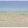 Grietje Postma: 2024-III, houtdruk 3/27, 42 x 62 cm. 435 euro