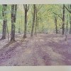 2023-I, houtdruk 18/29, 57 x 82 cm. 595 euro