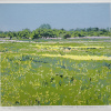 2026-II Stroomdallandschap Drentsche Aa, houtdruk 4/29, 25 x 26 cm. 195 euro