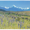 Grietje Postma: 2025-V (Aoraki Mt Cook), houtdruk 5/29, 36 x 36 cm. 275 euro