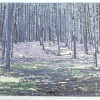 2026-IV Boslandschap Texel, houtdruk 3/29 en 6/29, 25 x 26 cm. 195 euro