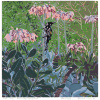 2025-III (Emu Bay Honeyeater), houtdruk 12/29, 27 x 27 cm. 195 euro
