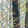 2023-II, houtdruk 11/29, 22 x 26 cm. 185 euro
