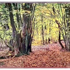 2026-I, houtdruk 4/18, 48 x 82 cm. 575 euro