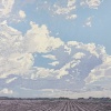 Grietje Postma: 2021-IV, houtdruk 12/28, 42 x 49 cm. 395 euro