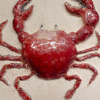 Angelique Homberg: Krab (2026), keramiek, 22 x 22 x 3 cm. 225 euro