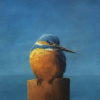Marc van der Zwet: IJsvogel bedenkt zich (2026), olieverf op eiken paneel, 14,5 x 9,6 cm. 380 euro