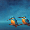 Marc van der Zwet: Twee ijsvogels op tak op blauw (2026), olieverf op eiken paneel, 13 x 18,5 cm. 400 euro