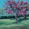 Iris Duchateau: Bloesem in maart, olieverf op doek, 23 x 23 cm. 150 euro