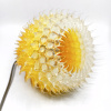 Jürgen Reichert: Dianea aurea (2026), mixed media unica, 22 x Ø18 cm. 360 euro