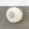 Jürgen Reichert: Nucifea exiguus (2026), mixed media unica, 23 x Ø17 cm. 360 euro