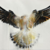 Laura Hoek: Torenvalk II (2025), inkt en houtskool op papier, 70 x 100 cm. 1.150 euro