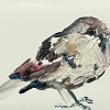 Laura Hoek: Mus (2024), olieverf op papier, 5 x 7 cm. 47,50 euro