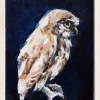 Laura Hoek: Steenuil op blauw (2026), olieverf op papier, 22 x 16 cm. 165 euro