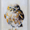 Laura Hoek: Steenuil kuiken (2026), olieverf op papier, 22 x 16 cm. 165 euro