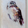 Laura Hoek: Steenuil achterom kijkend (2026), olieverf op papier, 22 x 16 cm. 165 euro