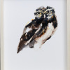 Laura Hoek: Steenuiltje (2026), olieverf op papier, 22 x 16 cm. 165 euro
