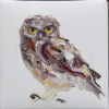 Laura Hoek: Steenuiltje III (2026), olieverf op papier, 7 x 7 cm. 47,50 euro