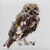 Laura Hoek: Steenuiltje I (2026), olieverf op papier, 7 x 7 cm. 47,50 euro