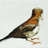 Laura Hoek: Vink (2023), acrylinkt op papier, 6 x 8 cm. 32,50 euro