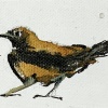 Laura Hoek: Mus (2023), acrylinkt op papier, 6 x 8 cm. 32,50 euro