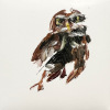 Laura Hoek: Steenuiltje IV (2026), olieverf op papier, 7 x 7 cm. 47,50 euro