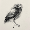 Laura Hoek: Steenuil (2026), gemengde techniek op papier, 50 x 40 cm. 475 euro