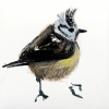 Laura Hoek: Vogeltje (2024), olieverf op papier, 7 x 7 cm. 47,50 euro
