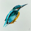Laura Hoek: IJsvogel 1 (2026), gemengde techniek op papier, 18 x 18 cm. 110 euro