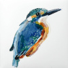 Laura Hoek: IJsvogel 3 (2026), gemengde techniek op papier, 10 x 10 cm. 57,50 euro