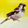 Laura Hoek: Mus Man A (2024), olieverf op paneel, 18 x 24 cm. 165 euro