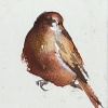 Laura Hoek: Musje 1 (2024), acrylinkt op papier, 7 x 7 cm. 32,50 euro