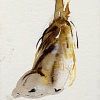 Laura Hoek: Musje 4 (2024), acrylinkt op papier, 8 x 6 cm. 32,50 euro