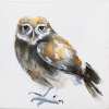 Laura Hoek: Steenuil (2026), gemengde techniek op doek, 30 x 30 cm. 450 euro